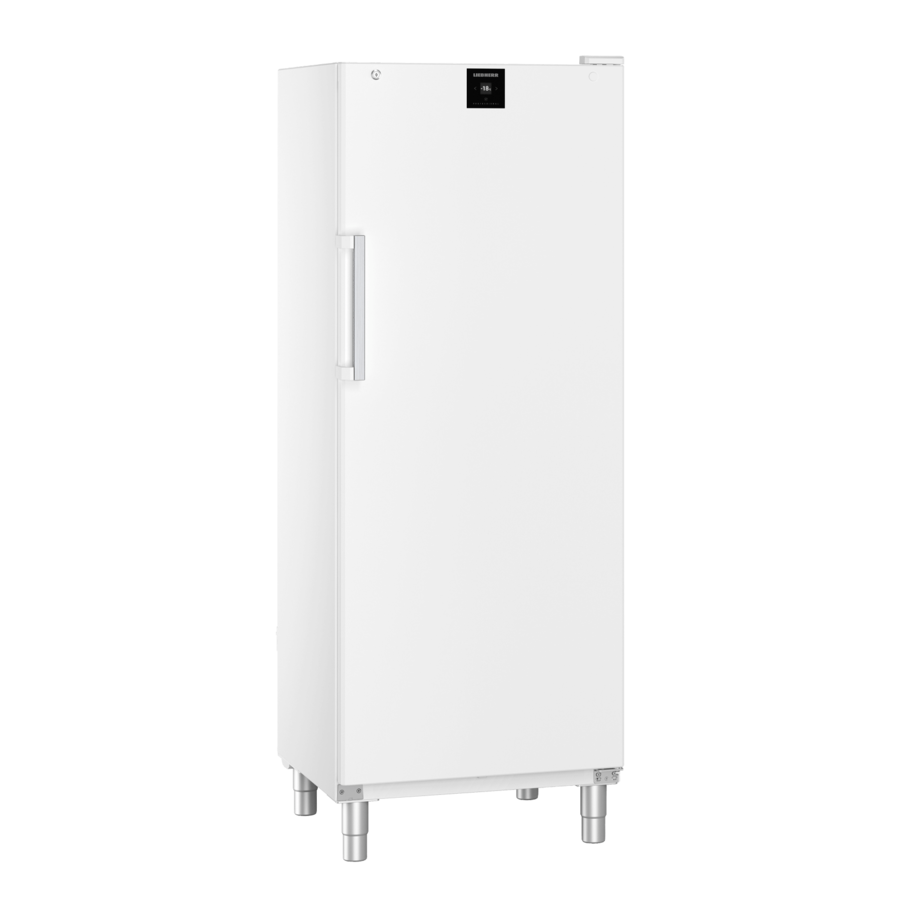 FFFsg 6501 | Freezer catering | White | 573 L