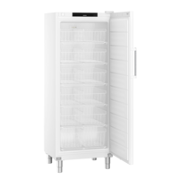 FFFsg 6501 | Freezer catering | White | 573 L