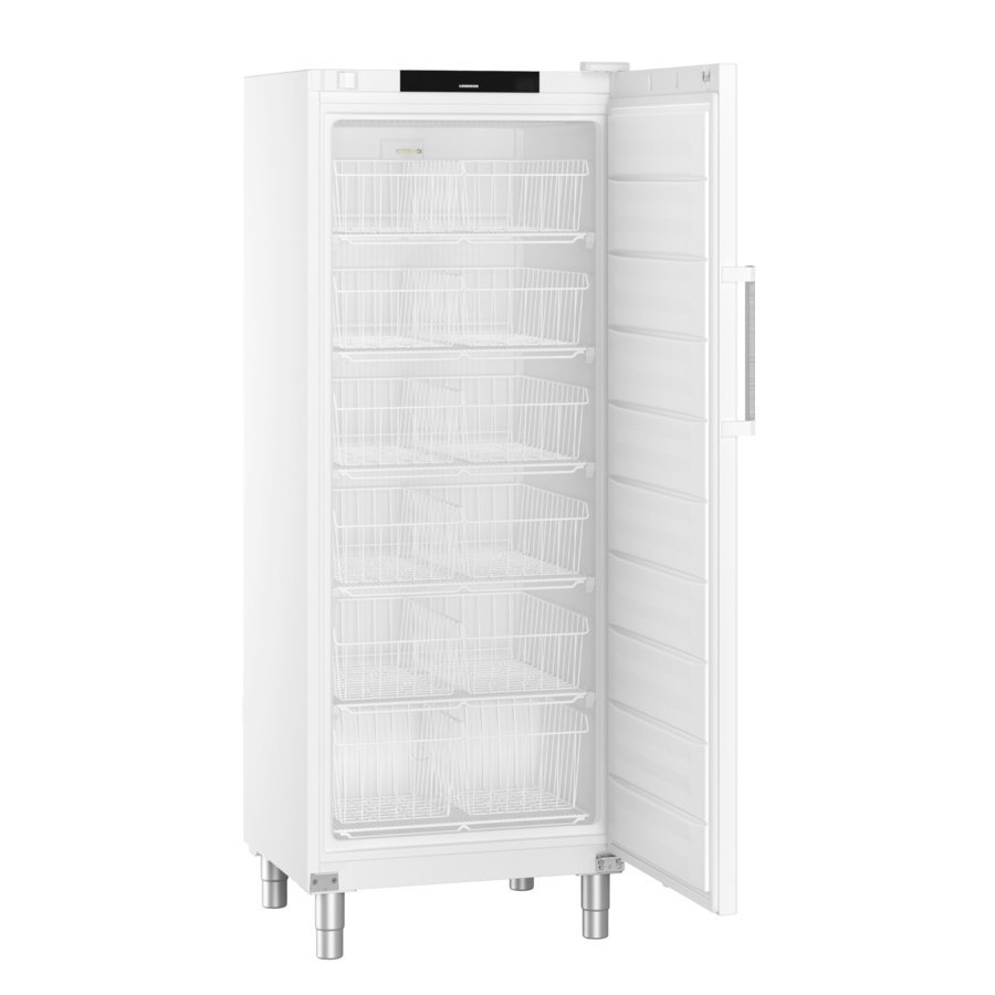 FFFsg 6501 | Freezer catering | White | 573 L