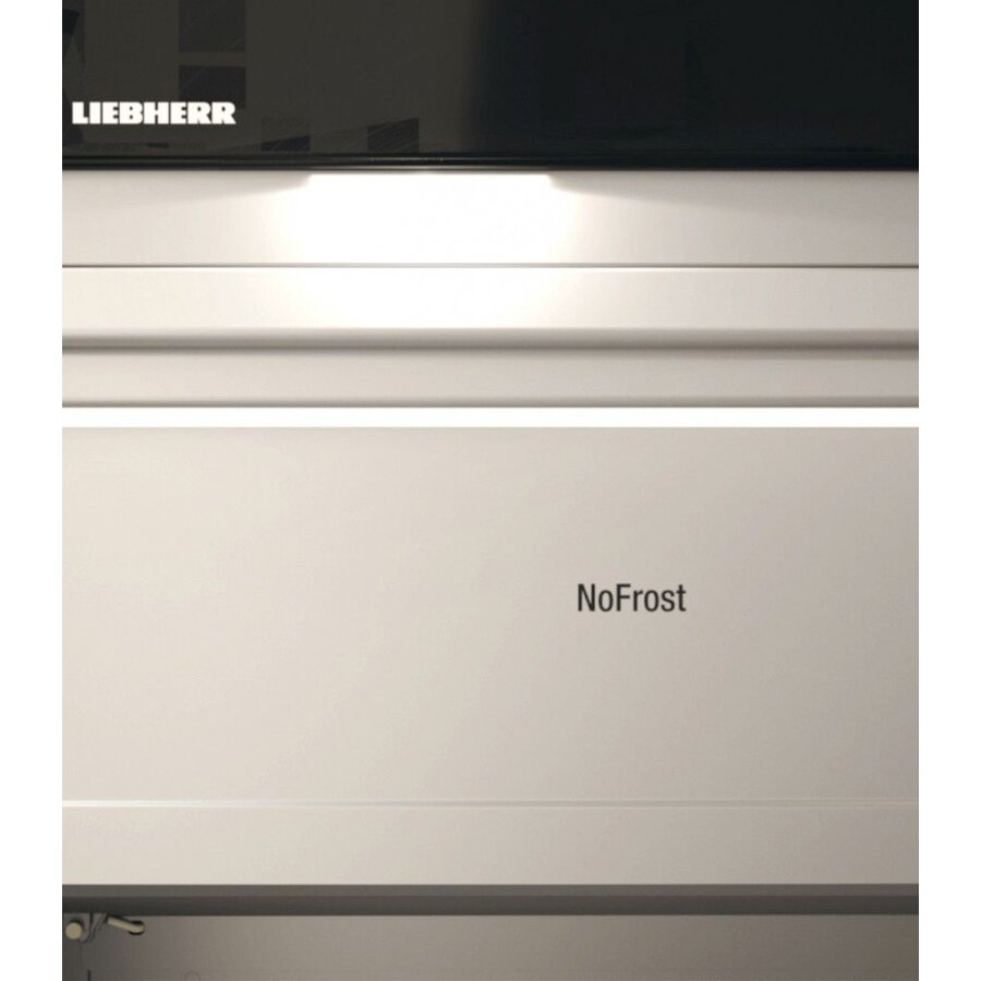 Gefrierschrank FFFCvg 5501 Perfection