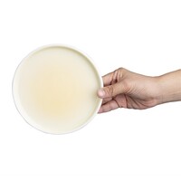 Assiettes à fondant | jaune citron | Ø15,2cm | 6 pièces