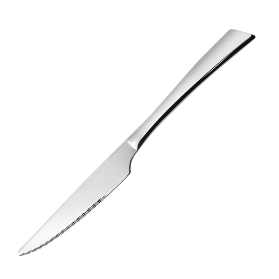 Nice Steak Knife | 25.6 cm | Stainless Steel | 12 pieces