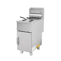 Friteuse à gaz | Debout | 27 kW