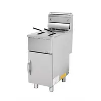 Gas friteuse | Staand | 27 Kw