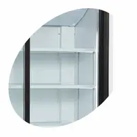 Display Cooler | 1000 x 735 x 1990 mm | Wit Staal | 730 L