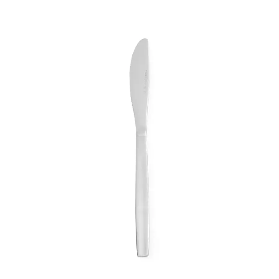 Table knife | Stainless steel | 212mm | 12 pieces | OUTLET