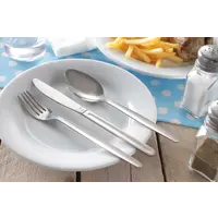 Couteau de table | acier inoxydable | 212 mm | 12 pièces | SORTIE