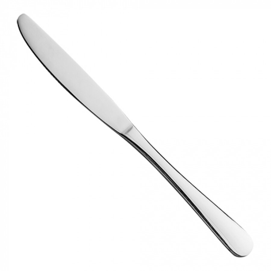 stainless steel table knife | 22 cm