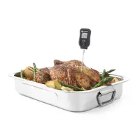 Thermomètre numérique avec sonde