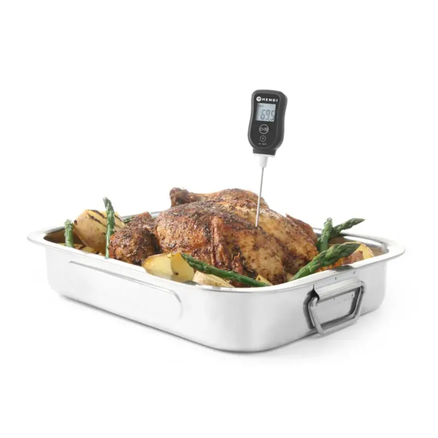 Thermomètre numérique avec sonde
