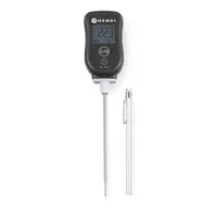 Digital thermometer with probe