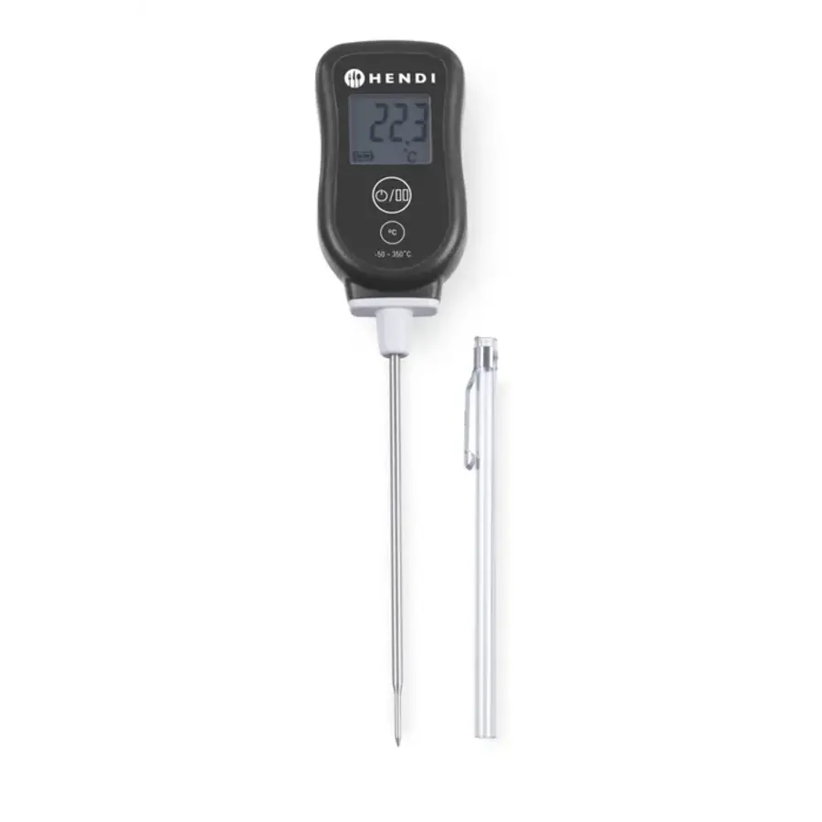 Digital thermometer with probe