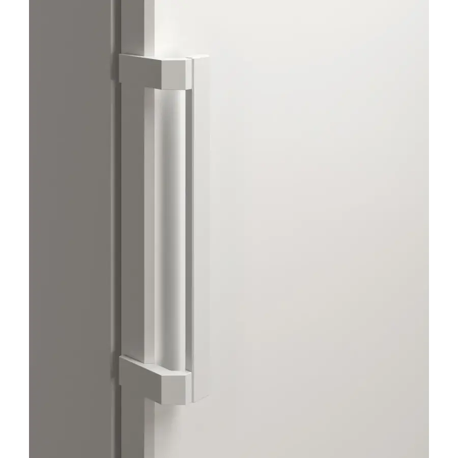 FRFvg 4001 refrigerator | +1°C to +15°C | 188.4x59.7x65.4 cm