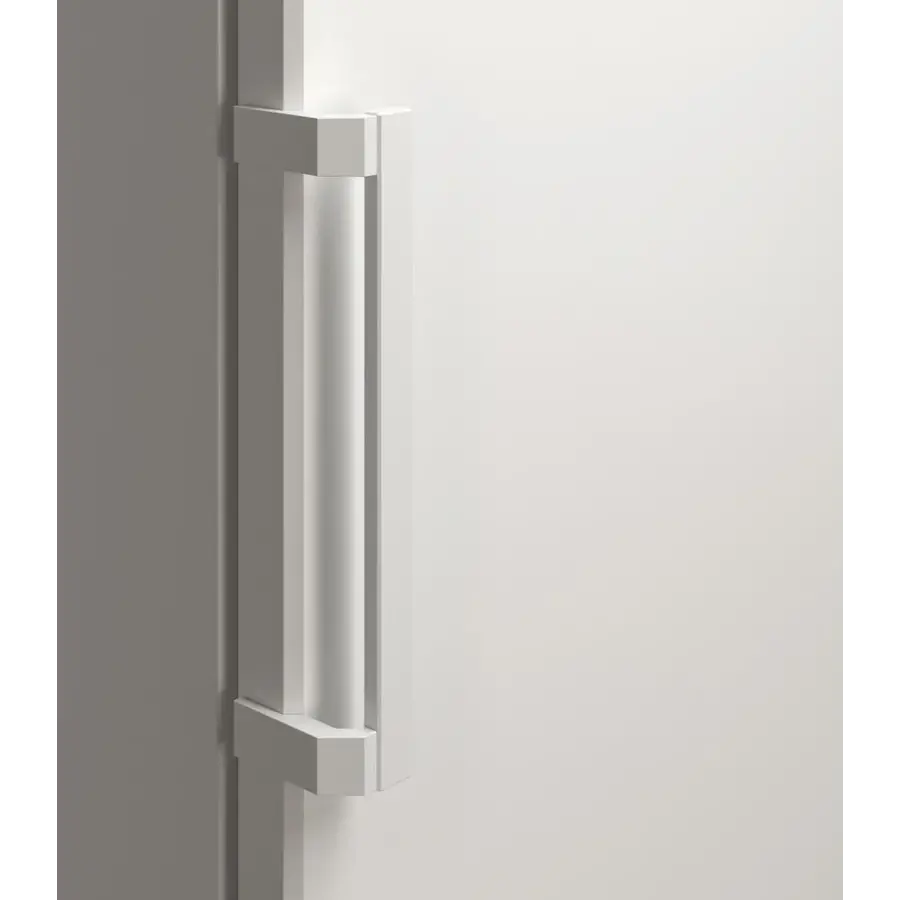 Réfrigérateur FRFvg 4001 | +1°C à +15°C | 188,4 x 59,7 x 65,4 cm