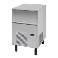 Polar U-series ice cream maker with a capacity of 33 kg