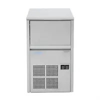 Polar U-serie ijsmachine |  vermogen van 21 kg | RVS | 59 x 35,5 x 43,5cm