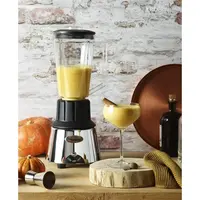 Mixeur plongeant 33 | Chrome | 1,25 L | 42(h) x 18(l) x 18cm