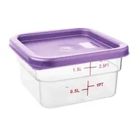 Hygiplas | square lid for food containers | Small | Purple