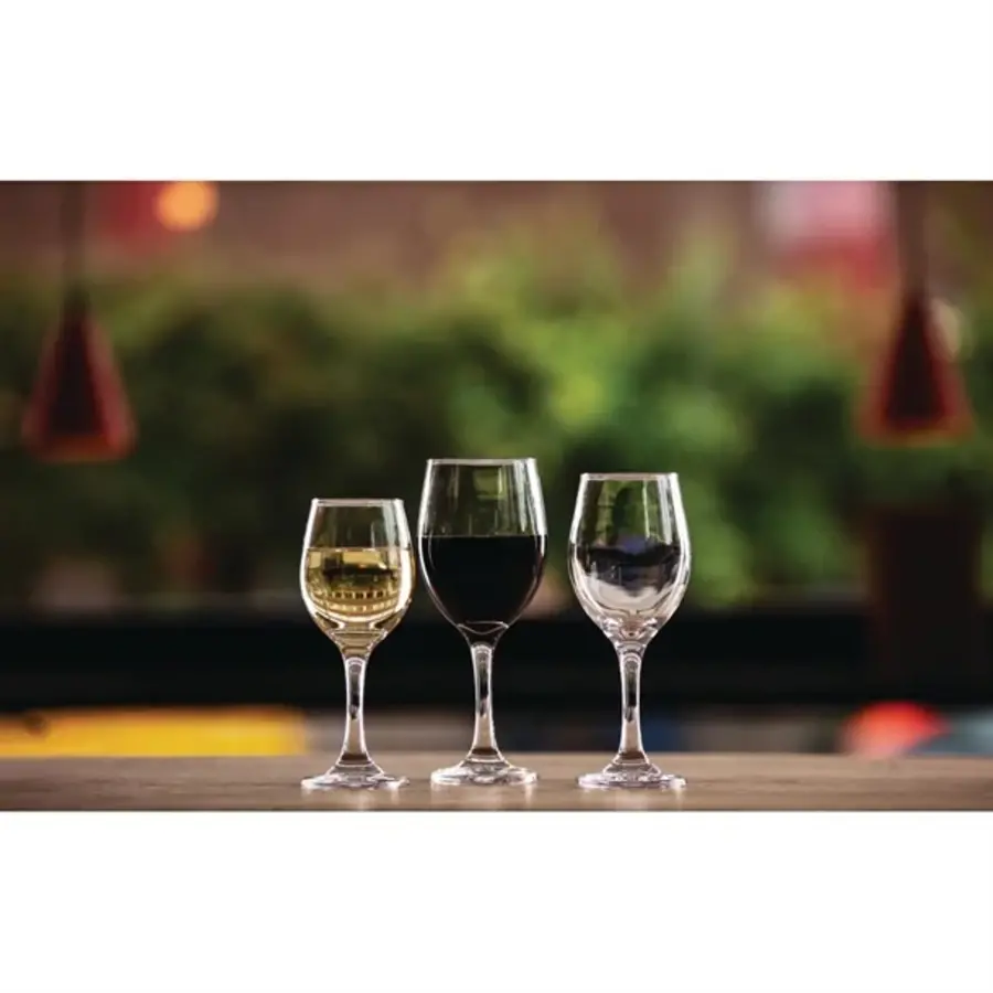 Verres à vin solaires 41cl | 48 pièces | 20,8 (h) x 8,5 (Ø) cm
