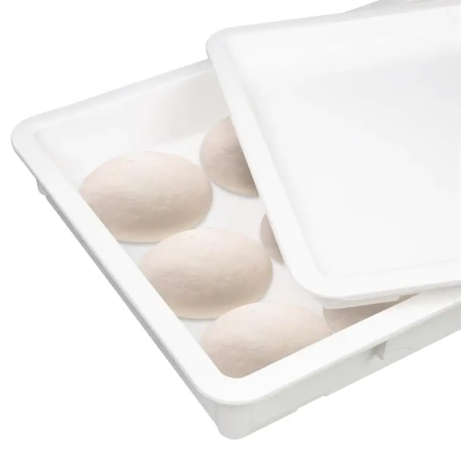 Boîte à pâte en PP | 650 x 455 x 85 mm