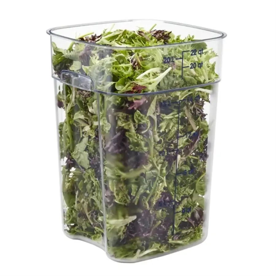 FreshPro Camsquare Frischhaltedose | 20,8 l | Polycarbonat | 40 (H) x 25,6 (B) x 31 (T) cm