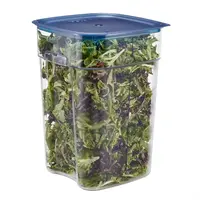 FreshPro Camsquare food storage box | 20.8L | Polycarbonate | 40(h) x 25.6(w) x 31(d)cm