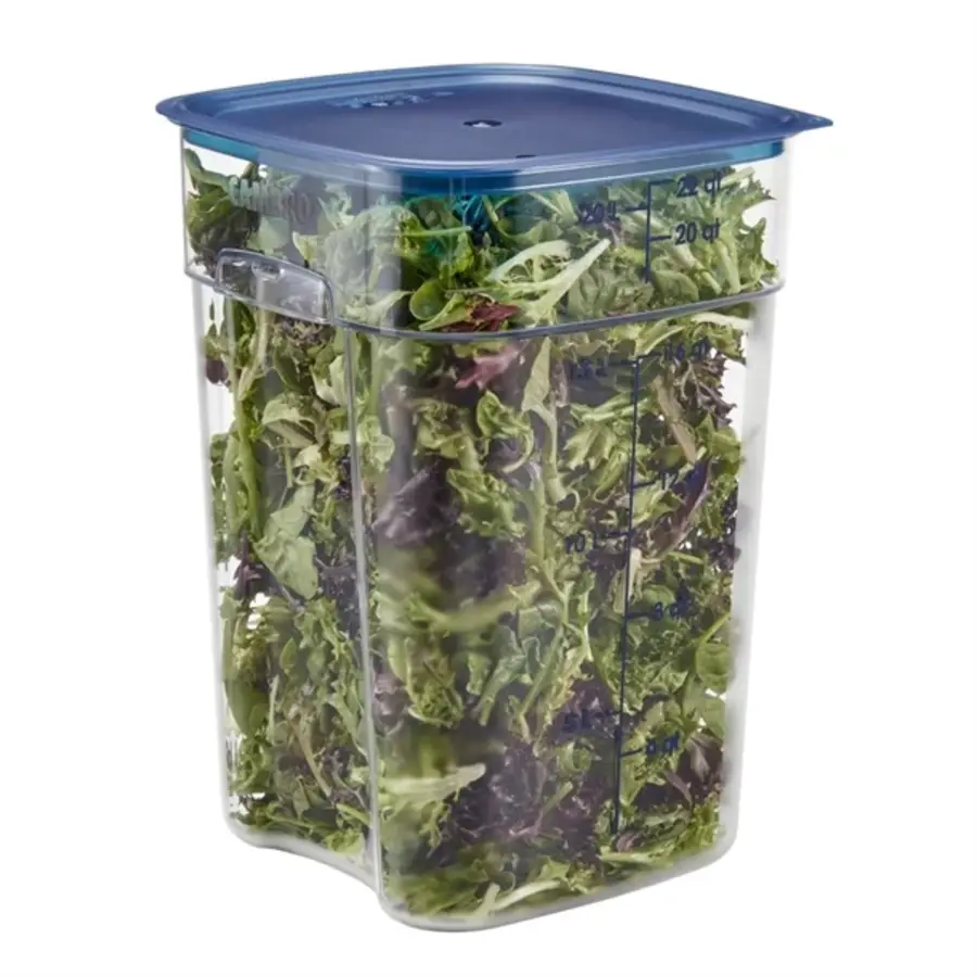 FreshPro Camsquare Frischhaltedose | 20,8 l | Polycarbonat | 40 (H) x 25,6 (B) x 31 (T) cm