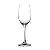 Restaurant champagne glasses | (pack of 12)