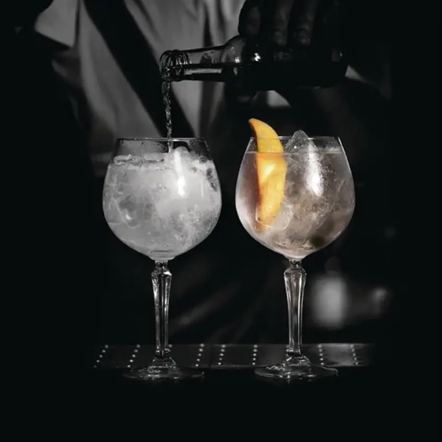 Artis speakeasy gin glasses | 580 ml | (6 pieces)