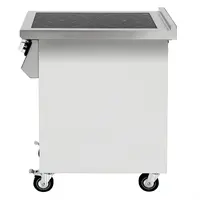 Freestanding induction hob with 2 cooking zones | Stainless steel | 90(h)x40(w)x75(d)cm