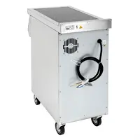 plaque de cuisson à induction autonome avec 2 zones de cuisson | acier inoxydable | 90(h)x40(l)x75(p)cm