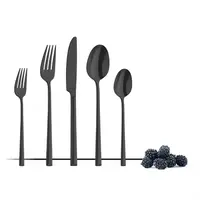 Amefa metropole dessert spoon | black | (12 pieces)