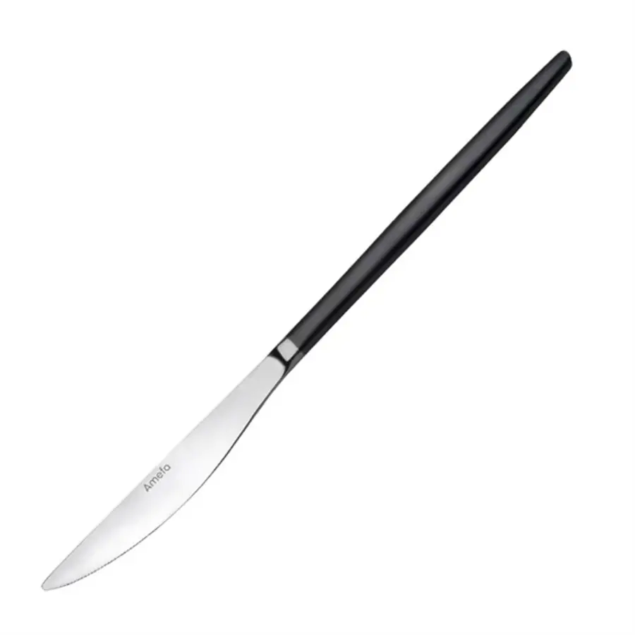 Couteau de table Amefa | Noir | (12 pièces)