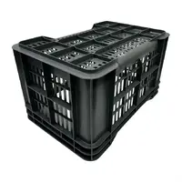 caisse de rangement en plastique perforée | 542x360x290mm
