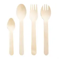 Cuillères à café en bois compostables emballées individuellement | (500 pièces)