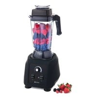 Powerful Blender | 2.5 Liter