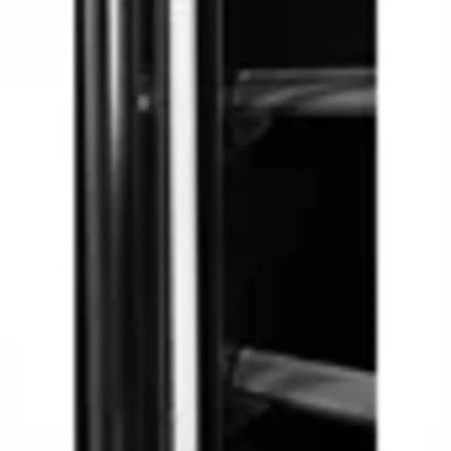 Gefrierschrank mit 2 Türen und Glas, Schwarz, 744 l, 196,3 x 122 x 76,4 cm
