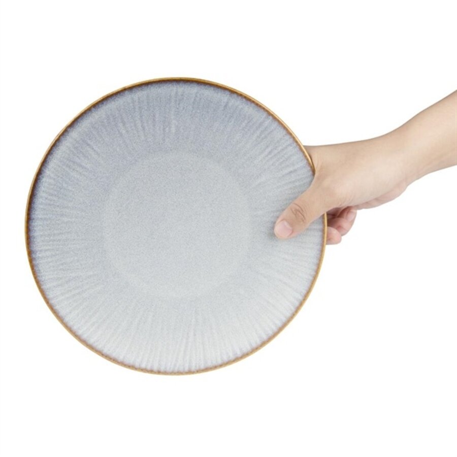 Assiettes grises en relief, 220 mm, lot de 6, 2,4 h x 22 Ø cm