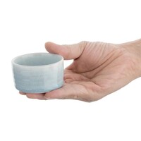 cavolo ijsblauw dip schaaltje - 67mm (doos 12)