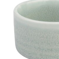 Dipschaaltjes lentegroen 67mm verpakking van 12