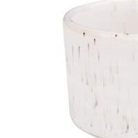 cavolo wit gespikkelde dipschaal - 67mm doos 12