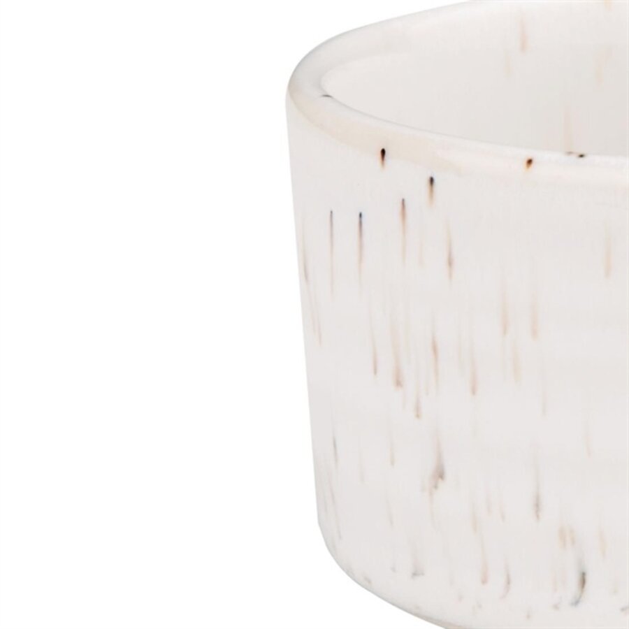 bol à trempette blanc moucheté Cavolo - 67 mm, boîte de 12