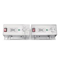 Friteuse tweemand 2 x 5ltr friteuse 2.8kw 35,5h x 56,5b x 45d cm