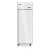 Arktic Gastronomie-Gefrierschrank Einzeltür 670 l Profi Line 230V 600W Arktic Gastronomie-Gefrierschrank Einzeltür 670 l Profi Line 230V 600W