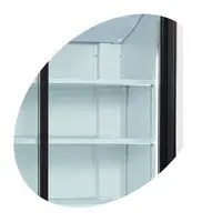 Refrigerator 2 doors with sliding doors | Extra small soft drink cooler | 1000 x 735 x 1990 mm