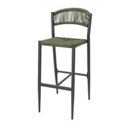 Eden PE geflochtene Rattan-Barhocker für den Außenbereich, grün (2 Stück)