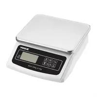 Professionele Platformweegschaal – 30 kg Capaciteit, RVS, Oplaadbaar