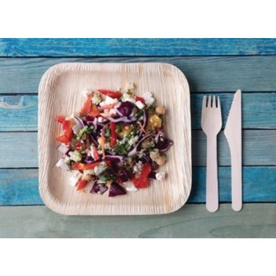 Palm Leaf Plates Square 200mm (Pack of 100)