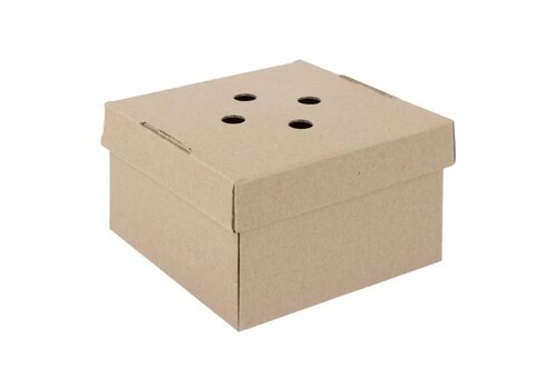  Fiesta  compostable Uitklapbare Hamburgerdozen (100 Stuks) 