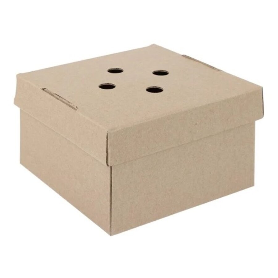 Uitklapbare Hamburgerdozen (100 Stuks)